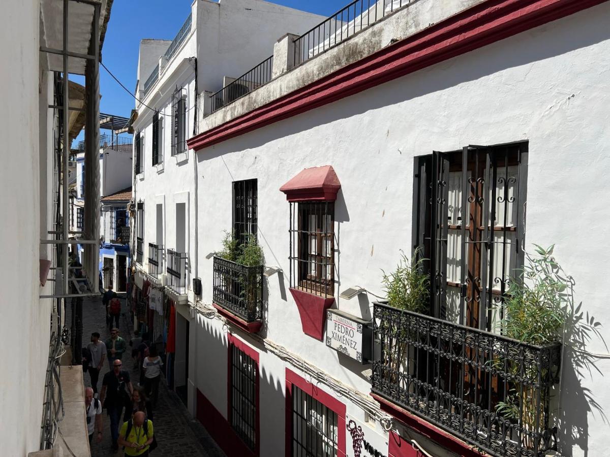 코르도바 Apartamento Los Califas A 100M De La Catedral 아파트 외부 사진